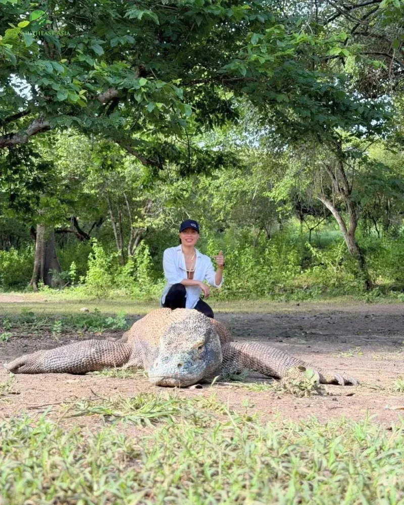 Up close with Komodo dragons under ranger supervision