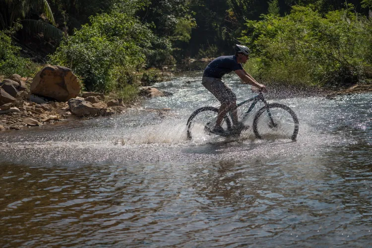 Cycling Tours