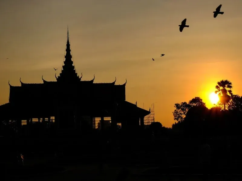 Cambodia Birdwatching Tour