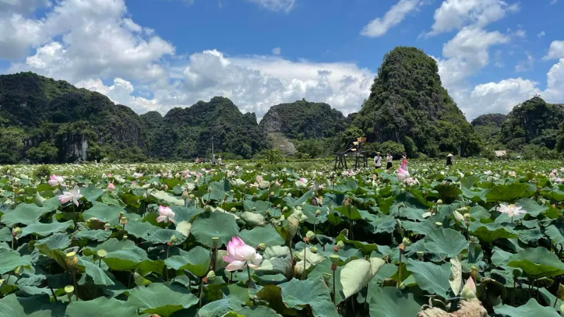 15 Days of Culture, Nature & Heritage in Vietnam