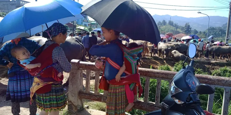 Hanoi - Sapa classic tour 03 days 02 nights by bus or train