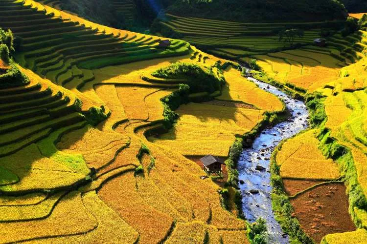 North Vietnam Tours