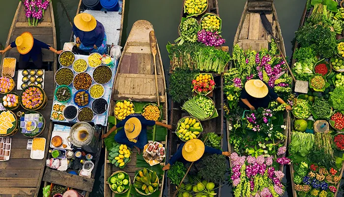 Vietnam Discovery Tour