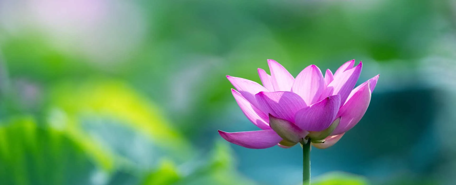 Best Vietnam Tours