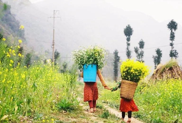 Best North and The central of Vietnam