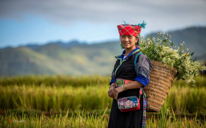 /storage/photos/29/hmong-woman-sapa-vietnam_1761539584_StjdzEik.webp