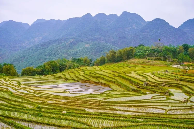 /storage/photos/29/pu-luong-terraced-fields-march-2024-go-southeast-asia-travel_1761540104_JR2NWKti.webp